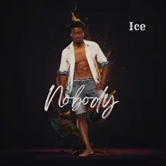 Nobody - Single by Ice album reviews, ratings, credits