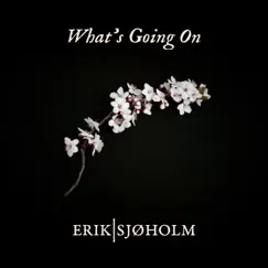 What's Going On - Single by Erik Sjøholm album reviews, ratings, credits