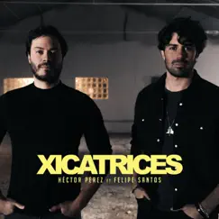 Xicatrices (feat. Felipe Santos) Song Lyrics