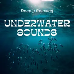 Underwater World Sound Song Lyrics