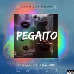 Pegaito (feat. El Nito & RDM) - Single by El Pinguino album reviews, ratings, credits