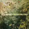 Little Wizards - Single album lyrics, reviews, download