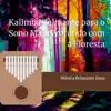 Kalimba Calmante para o Sono Mais Profundo com a Floresta album lyrics, reviews, download