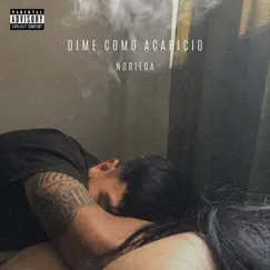 Dime Como Acaricio - Single by Noriega album reviews, ratings, credits