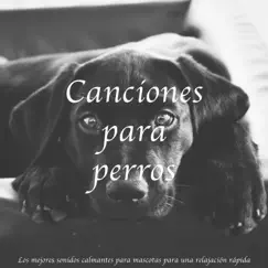 Canciones Para Perros: Los Mejores Sonidos Calmantes Para Mascotas Para Una Relajación Rápida by Relax My Dog & Dog Music Dreams album reviews, ratings, credits