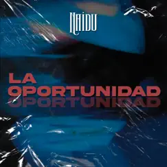 La Oportunidad Song Lyrics