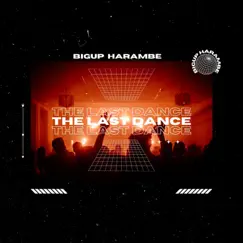 The Last Dance - Single by BigUp Harambe album reviews, ratings, credits
