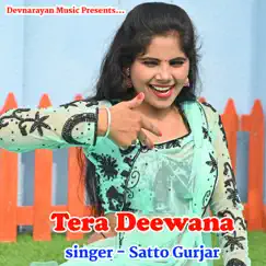 Tera Deewana - Single by Satto Gurjar album reviews, ratings, credits