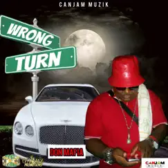 Wrong Turn (Clean Radio version) - Single by Don Mafia album reviews, ratings, credits