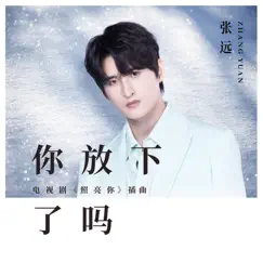 你放下了嗎 (電視劇《照亮你》插曲) - Single by Zhang Yuan album reviews, ratings, credits