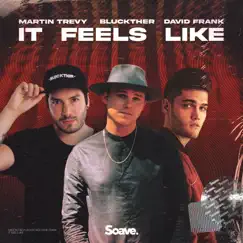 It Feels Like - Single by Martin Trevy, Bluckther & David Frank album reviews, ratings, credits