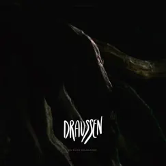 Draussen - Single by OG KUSH SALAMANDA & Lazy Lizzard Gang album reviews, ratings, credits