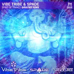 Spirit of Trance (Shivatree Remix) - Single by Vibe Tribe & Spade album reviews, ratings, credits
