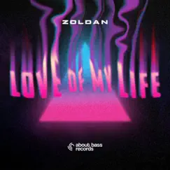 Love of My Life - Single by Zoldan album reviews, ratings, credits