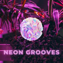 Neon Grooves by Bottle Of Noir album reviews, ratings, credits