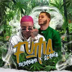 Fuma Song Lyrics