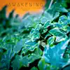 Awakening - Single album lyrics, reviews, download