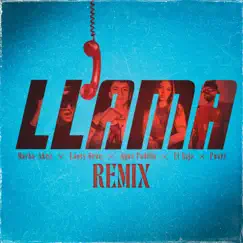 Llama (Remix) [feat. El Reja & Pushi] - Single by Marka Akme, Lauty Gram & Agus Padilla album reviews, ratings, credits