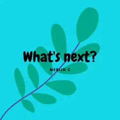 What’s Next? - Single by Merijn C album reviews, ratings, credits