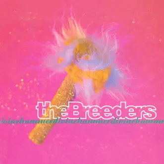 Download Divine Hammer (Single Version) The Breeders MP3