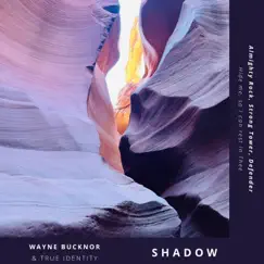 Shadow - Single by Wayne Bucknor & True Identity album reviews, ratings, credits