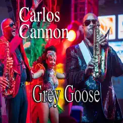 Grey Goose - Single by Carlos Cannon album reviews, ratings, credits