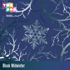 Bleak Midwinter by Sergey Kolosov & Paul Thorne album reviews, ratings, credits