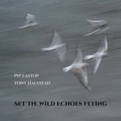 Set the Wild Echoes Flying by Pip Eastop & Anthony Halstead album reviews, ratings, credits