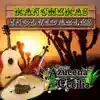 Rancheras Inolvidables (Mariachi) album lyrics, reviews, download