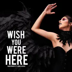 Wish You Were Here - Single by Tempus Quartet & Isabelle Govea album reviews, ratings, credits