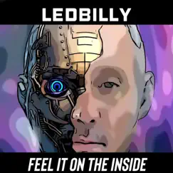 Feel It On the Inside - Single by Ledbilly album reviews, ratings, credits