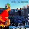 Like a Bird - Single album lyrics, reviews, download