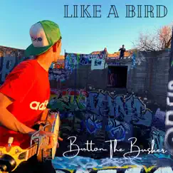 Like a Bird Song Lyrics