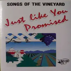 Just Like You Promised You Are Here by Vineyard Music album reviews, ratings, credits