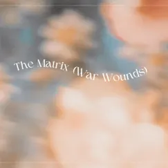 The Matrix (War Wounds) Song Lyrics