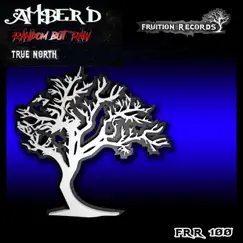 True North - Single by Amber D & Random But Raw album reviews, ratings, credits