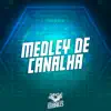 Medley de Canalha - Single album lyrics, reviews, download