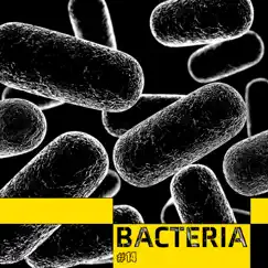Bacteria (feat. Adam Lambert) - Single by Boy George album reviews, ratings, credits