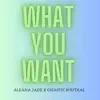 What You Want (feat. prod.Cha0tic) - Single album lyrics, reviews, download