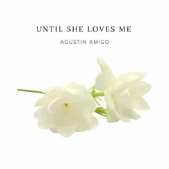 Until She Loves Me (Nylon Guitar Version) - Single by Agustín Amigó album reviews, ratings, credits