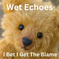 I Bet I Get the Blame - Single by Wet Echoes album reviews, ratings, credits