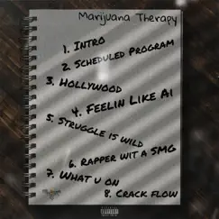 Marijuana Therapy by Hollywoodonion album reviews, ratings, credits