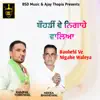 Bauhrhi Ve Nigahe Waleya - Single album lyrics, reviews, download