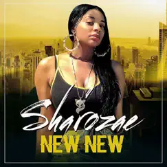 New New - Single by Sha'rozae album reviews, ratings, credits