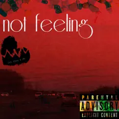 Not Feeling (feat. Lil Fire) Song Lyrics