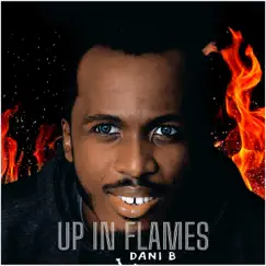 Up in Flames - Single by Dani B album reviews, ratings, credits
