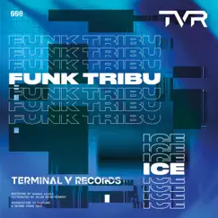 Ice - Single by Funk Tribu album reviews, ratings, credits