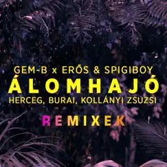 Álomhajó (Delighters & LeGround Remix) Song Lyrics