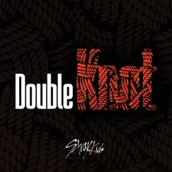 Double Knot - Single by Stray Kids album reviews, ratings, credits