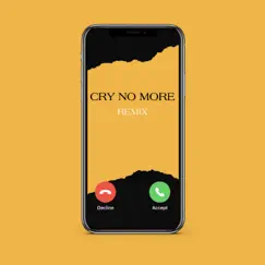 Cry No More Remix - Single by Rolla Spliff album reviews, ratings, credits